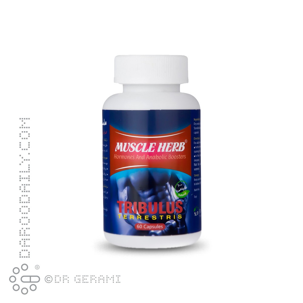 کپسول ماسل هرب بهتا دارو 60 عددی