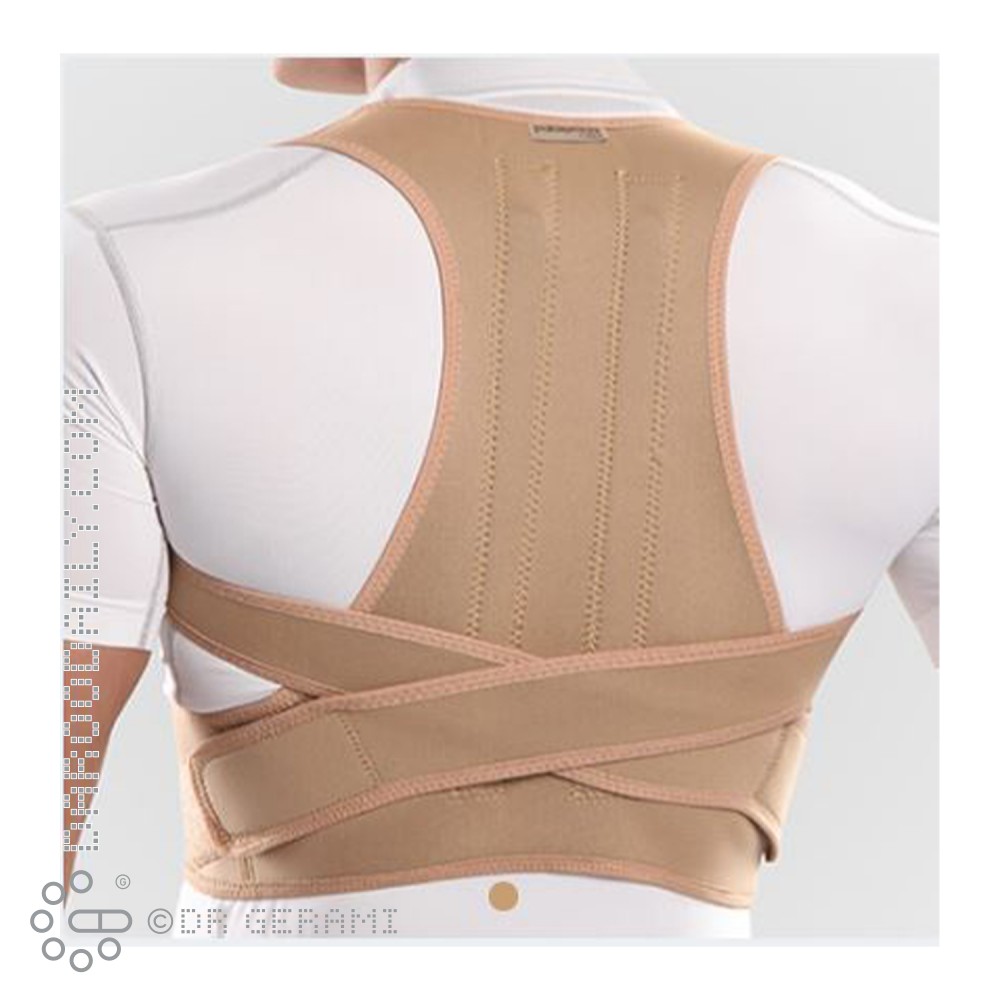 قوزبند نئوپرنی آتل دار پاک سمن سایز متوسط