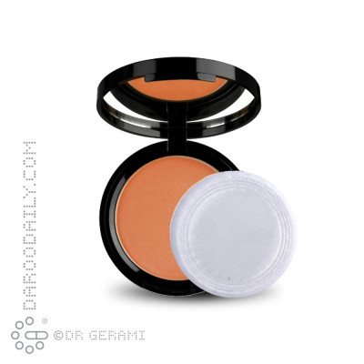 پنکک برنزه مینرال وینا شماره 204