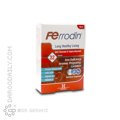 کپسول فرودین هولیستیکا ۳۲ عددی