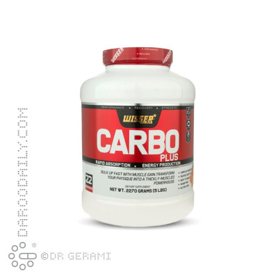 پودر کربو پلاس ویثر نوتریشن 2270 گرمی