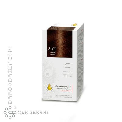 کیت رنگ موی بلوند تیره شکلاتی سری طلایی زی فام شماره 6.23