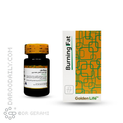 قرص برنینگ فت گلدن لایف 30 عددی