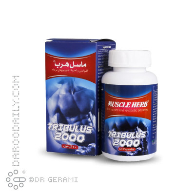 کپسول ماسل هرب بهتا دارو 60 عددی