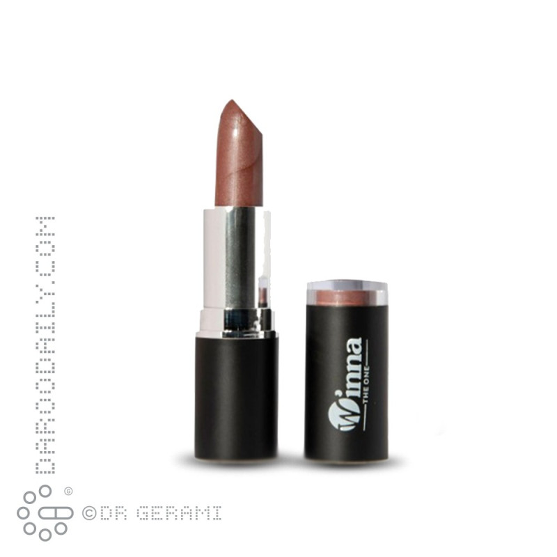 رژ لب جامد مخملی SPF8 وینا شماره 307